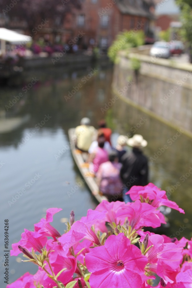 custom made wallpaper toronto digitalCanal de Colmar