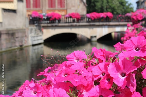 Wallpaper Mural Canal de Colmar Torontodigital.ca