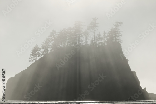 Sea Stacks at Second Beach in the fog, Olympic NP, Washington