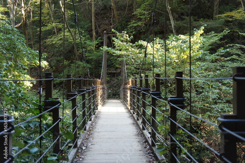 Pont suspendu japonais