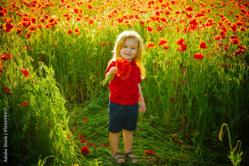 kid or little boy in field of poppy seed kid or little boy in field of poppy seed