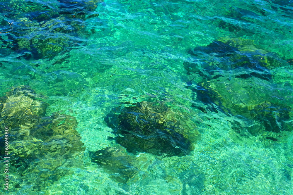 Obraz premium Emerald Green Water