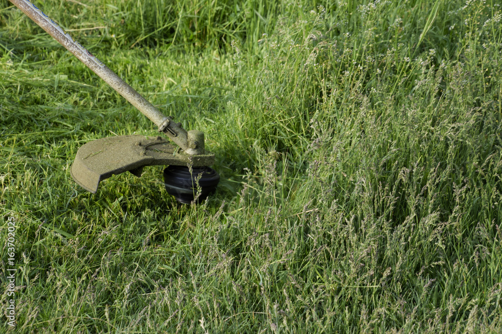 Fototapeta premium Application trimmers. Mowing green grass using a fishing line trimmer