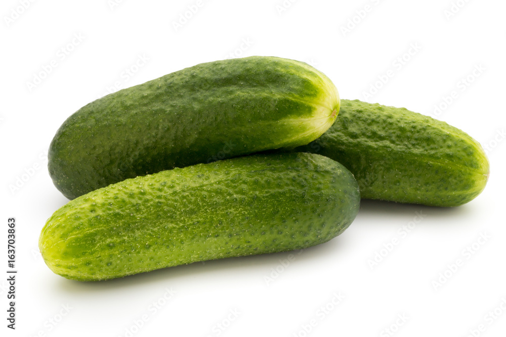 Eco cucumber on white background. Fresh vegetables. Eco cucumber on white background. Fresh vegetables.