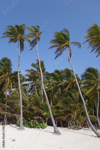 Martinique 