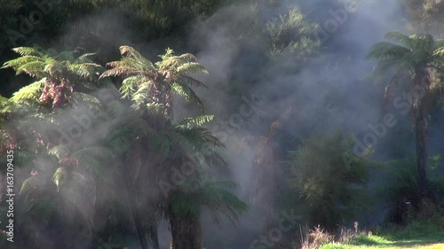 Geothermal Stream in Taupo New Zeaaland