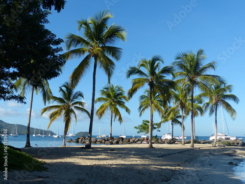 la pointe du bout aux trois ilets en Martinique photo