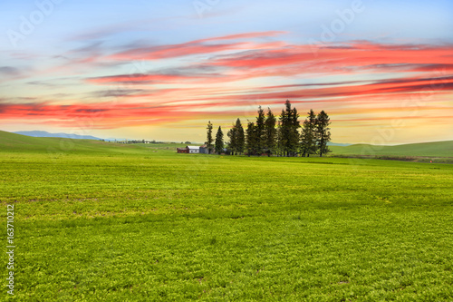 Palouse landscape with colorful sky background