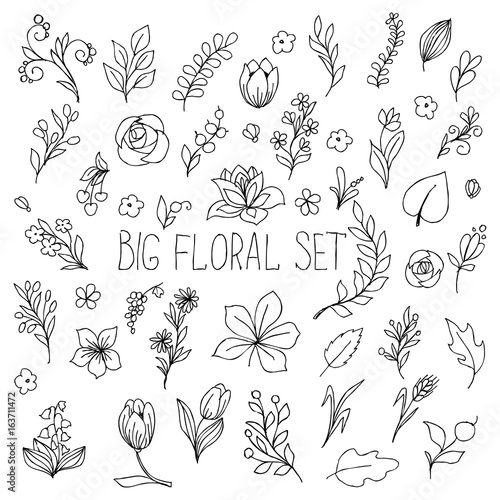 flowers, berries and leaves collection. Floral hand drawn vintage set. Sketch art illustration