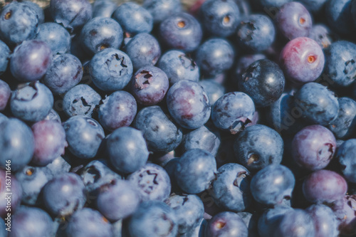 fresh blueberry background , blueberries closeup