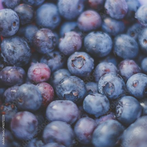 blueberry background , blueberries closeup