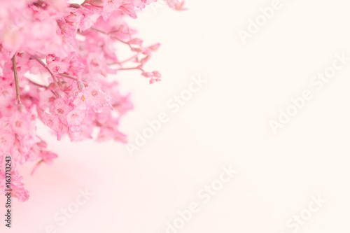 Pink flower on  soft pink paper background.