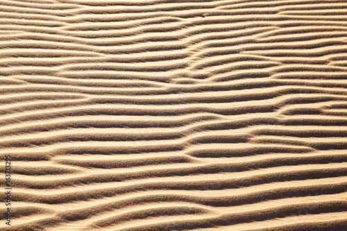 Sossus Dunes Sand Ripples, Namibia