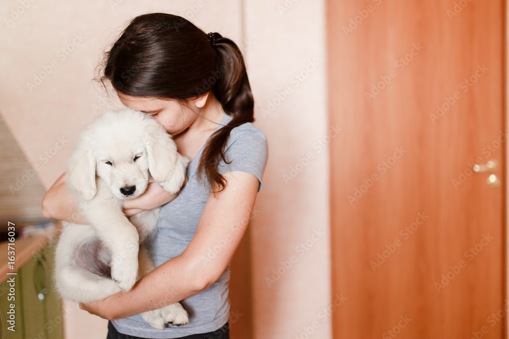 Young beautiful girl with a puppy of a golden labrador retriever in her arms, hugs, kisses and carries. The concept of love for animals, keeping dogs at home. Young beautiful girl with a puppy of a golden labrador retriever in her arms, hugs, kisses and carries. The concept of love for animals, keeping dogs at home.