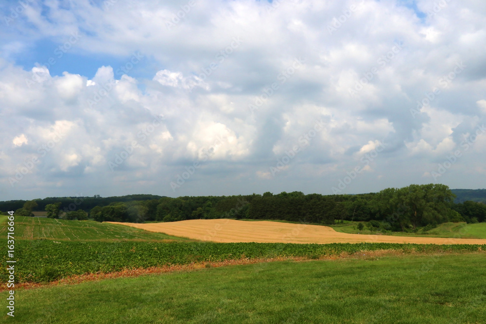 Fototapeta premium Agriculture, agronomy and farming background. Beautiful typical rural landscape of Wisconsin, Midwest USA, Madison area. Cloudy sky over fields with crops. Harvest concept.
