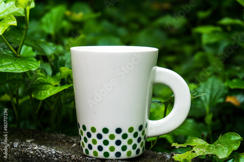 Coffee in the middle of the green leaves in the morning to refresh the coffee.