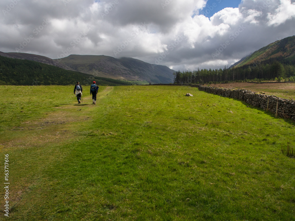 Hikers on trail across meadow, Cumbria, England