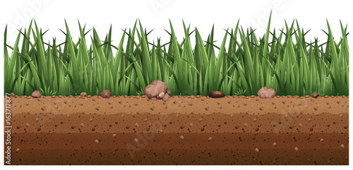 Seamless background with grass on the ground