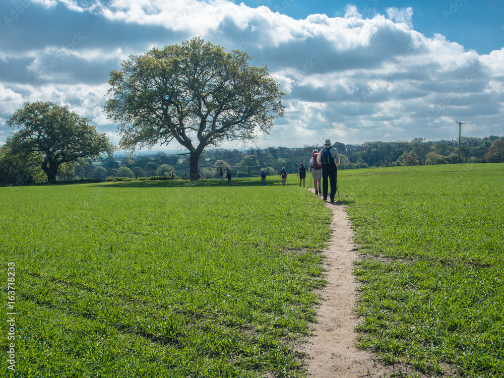 Fototapeta premium Hiking farm fields, Yorkshire, England
