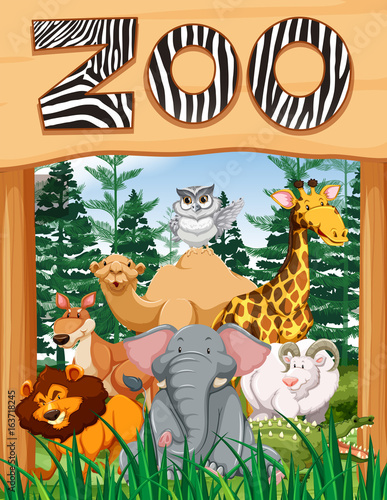 Wild animals under zoo sign