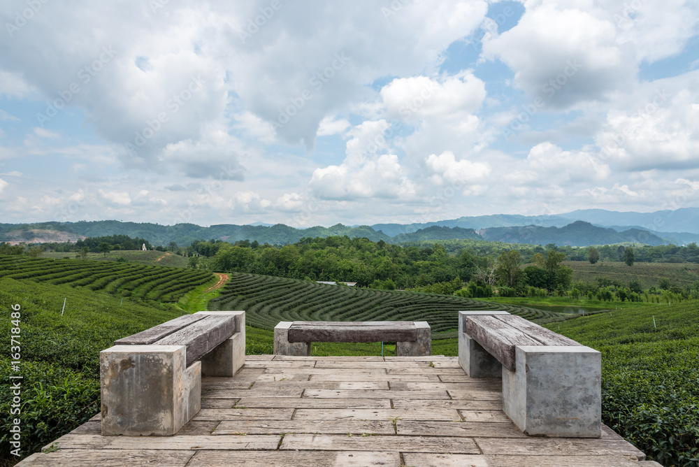 Green tea plantations, Green tea field and seat for looking view
