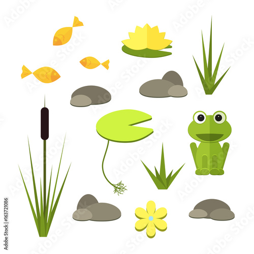 Cartoon vector garden pond elements with water, plants and animals.