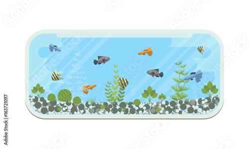 Cartoon vector home aquarium illustration with water, plants and fish.