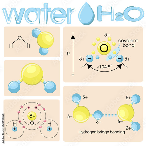 Various representations of water molecule H2O.
