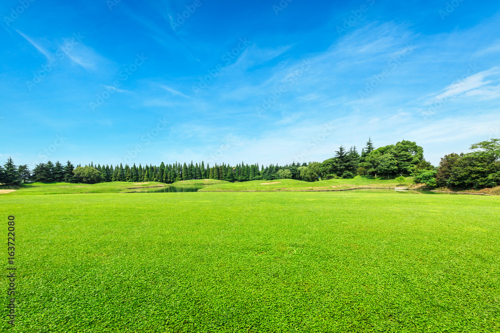 Obraz premium Green field and blue sky
