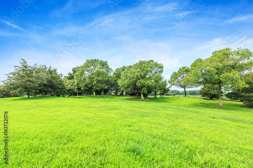 Green field and blue sky © ABCDstock