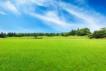 Fotobehang Zomer Groen weiland onder blauwe hemel  © ABCDstock