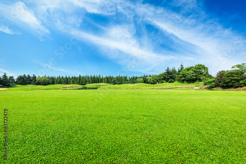 Green field and blue sky