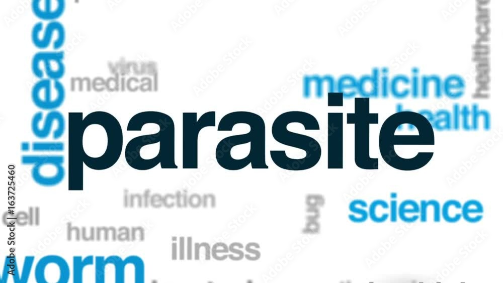 Parasite animated word cloud, text design animation. Parasite animated word cloud, text design animation.
