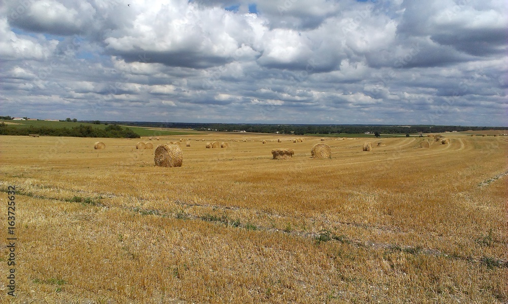 Obraz premium Charente