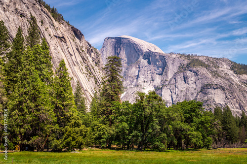 Wild nature of Yosemite National Park