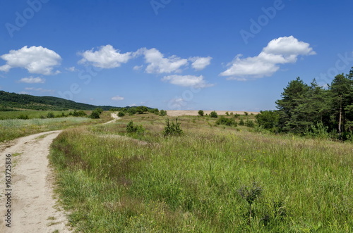Plana mountain in summer  Bulgaria