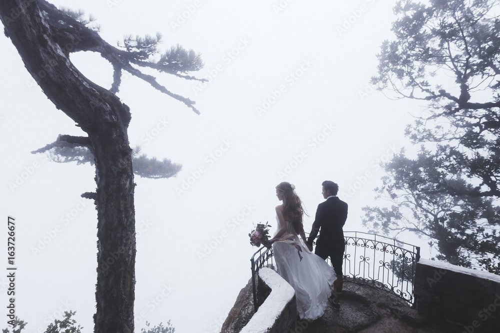 Wedding in a mysterious forest. Newlyweds walk in the fog, autumn mood Wedding in a mysterious forest. Newlyweds walk in the fog, autumn mood