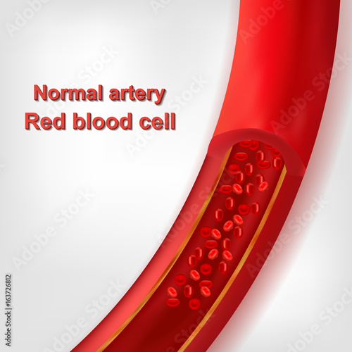 Red blood cells. Artery. A cartoon. For your design.