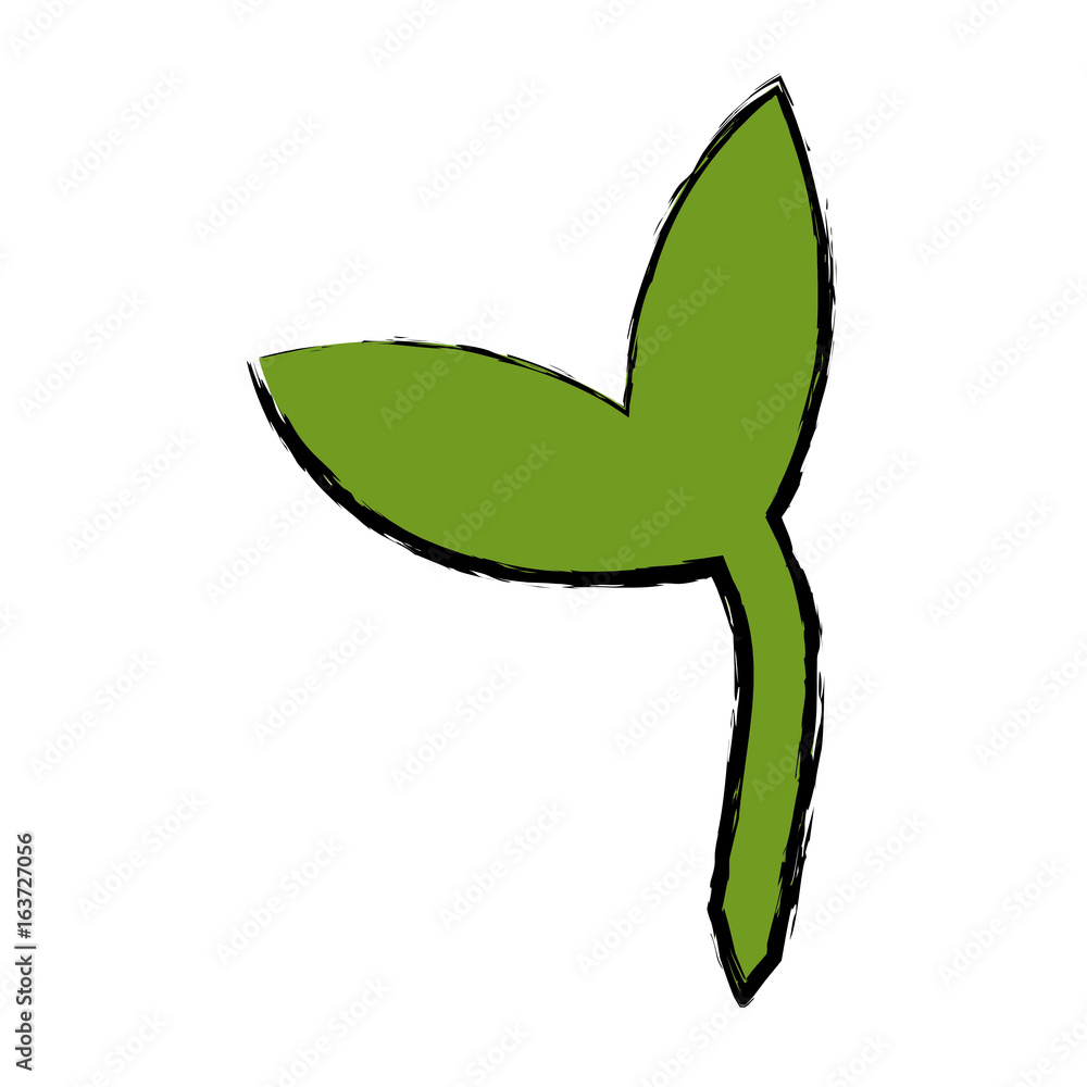 ecology nature environment plant forest image ecology nature environment plant forest image