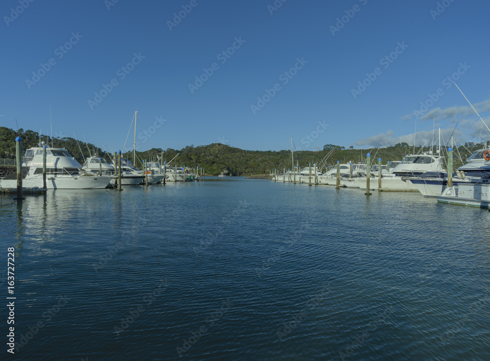 Large yachts in the Whitianga, Coromandel Marina in New Zealand Large yachts in the Whitianga, Coromandel Marina in New Zealand