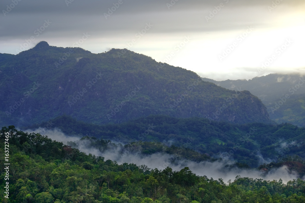 Morning mist with mountain range and trees in Mae Hong Sorn province, north of Thailand