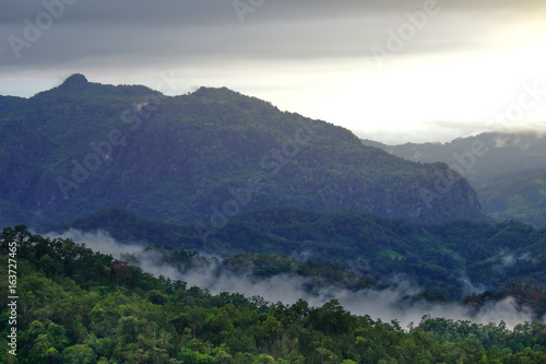 Morning mist with mountain range and trees in Mae Hong Sorn province  north of Thailand