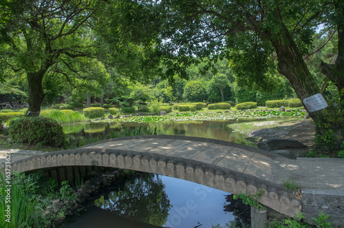 睡蓮の咲く池に掛かる橋