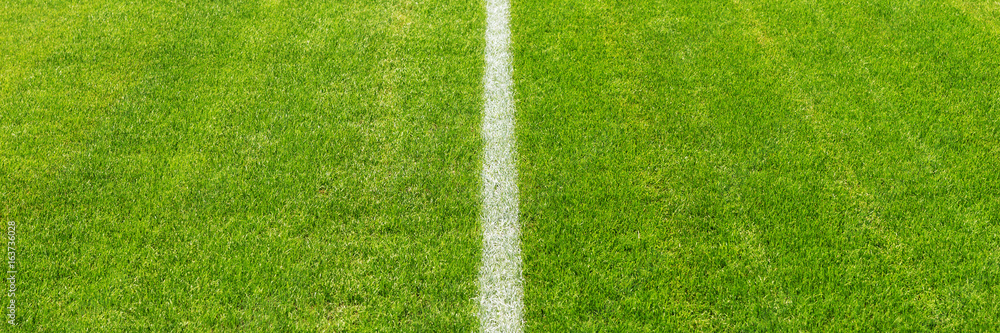 Fototapeta premium Mittellinie im Stadion