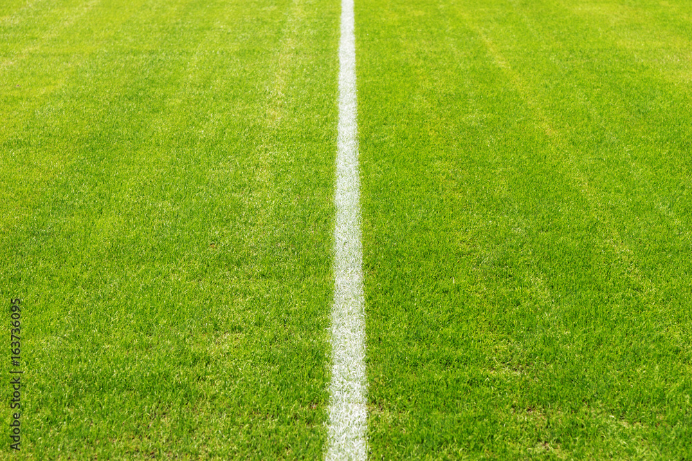 Obraz premium Mittellinie im Stadion
