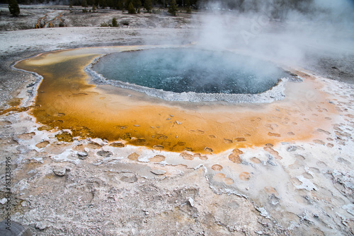 Crested Pool