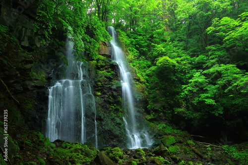 夏の友情の滝