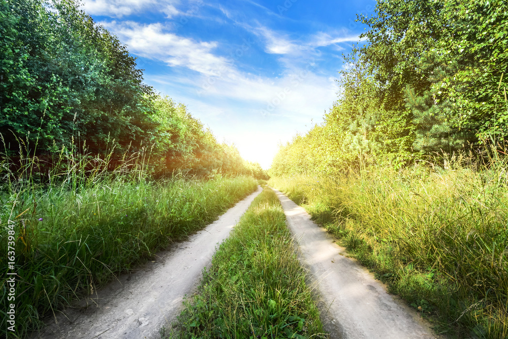 Fototapeta premium Rural road landscape