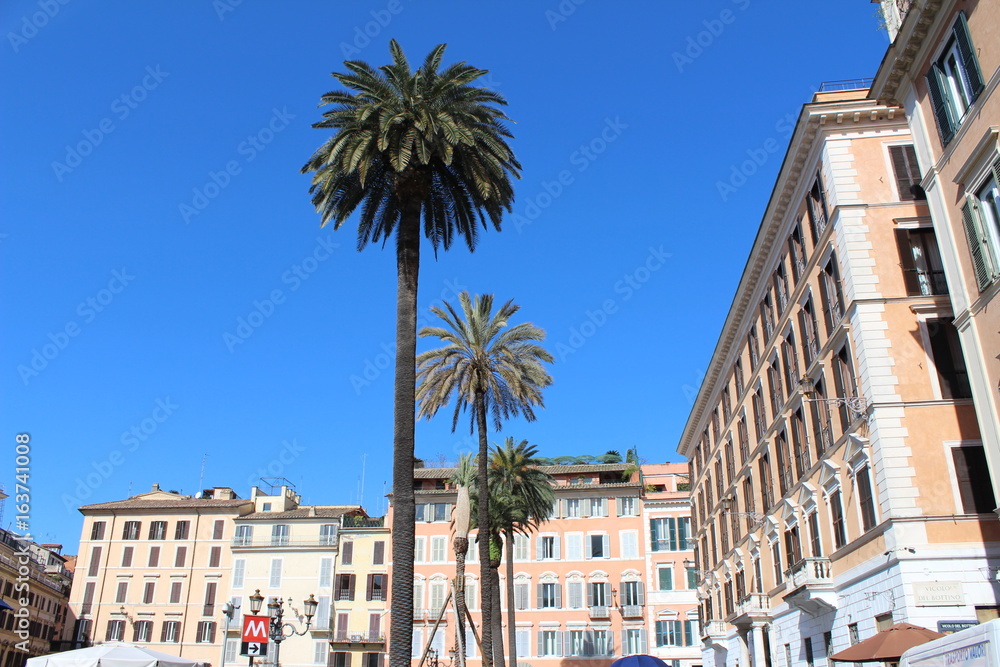 Roma palmiers ciel bleu belle vita