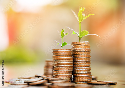 step of coins stacks with tree growing on top, nature background, money, saving and investment or family planning concept, over sun flare silhouette tone.